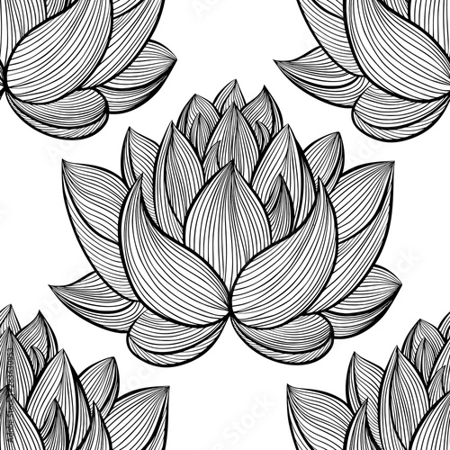 Lotus lily water pattern