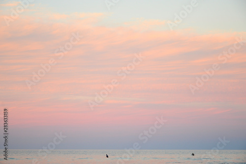 Surfers silhouettes over a Pink Sky in Burleigh Heads, Australia