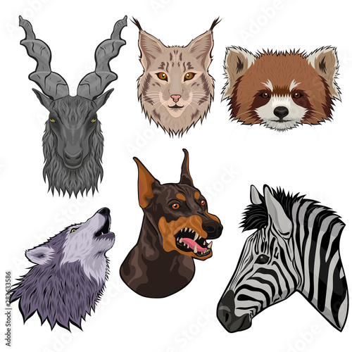Set of animal heads isolated on a white background. Vector graphics.