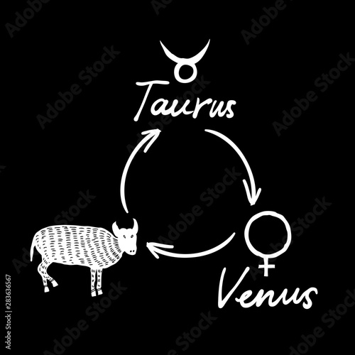 Hand drawn zodiac constellations symbol and sign Taurus, Venu illustration picture planet and symbol written name. Usable for mystic occult palmistry and witchcraft alchemy. Vector