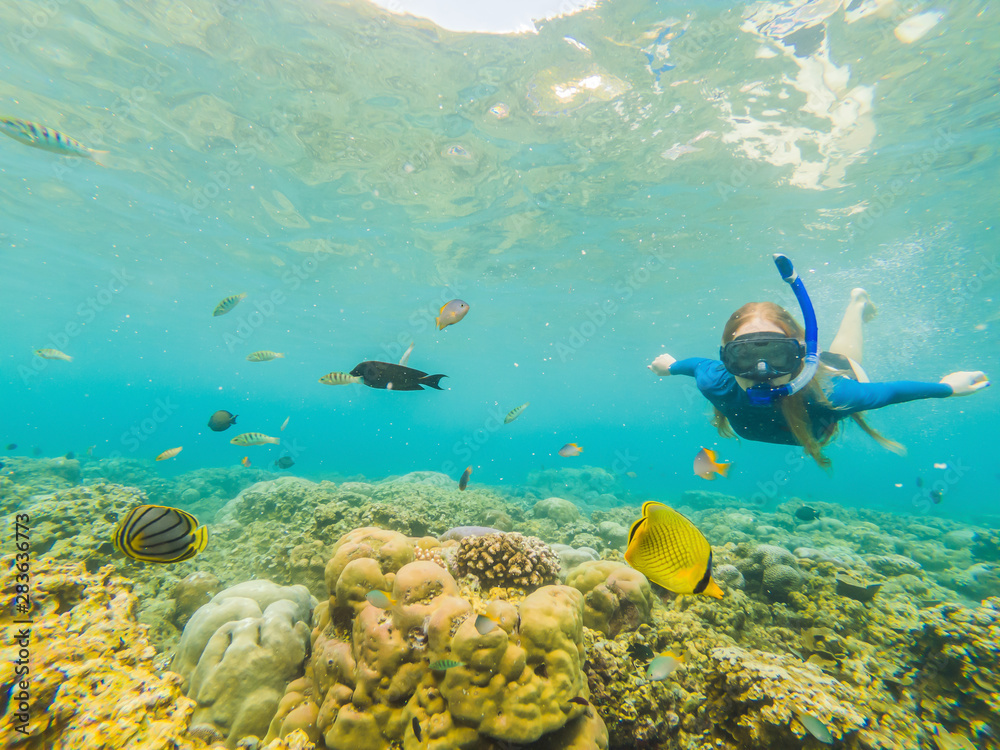Fototapeta premium Happy woman in snorkeling mask dive underwater with tropical fishes in coral reef sea pool. Travel lifestyle, water sport outdoor adventure, swimming lessons on summer beach holiday