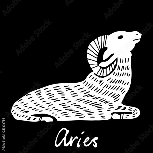 Aries  zodiac horoscope hand drawing sign for mystic  occult  palmistry and witchcraft alchemy. Vector.