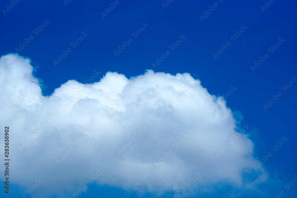 夏の空・育つ雲 夏の空・育つ雲