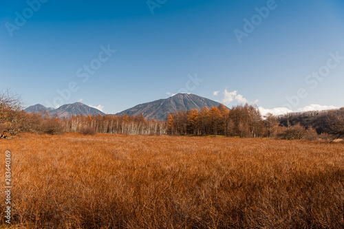 Autumn at Senjogahara plateau in Nikko national park, Nikko Tochigi, Japan