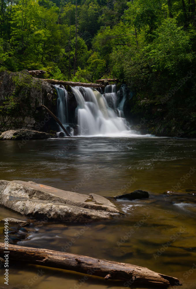 Obraz premium Abrams Falls