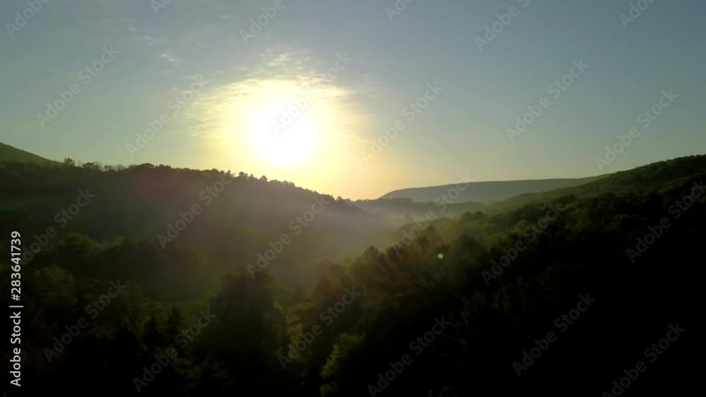A drone shot flying through a lush, green forest at sunrise with beautiful morning mist! A drone shot flying through a lush, green forest at sunrise with beautiful morning mist!
