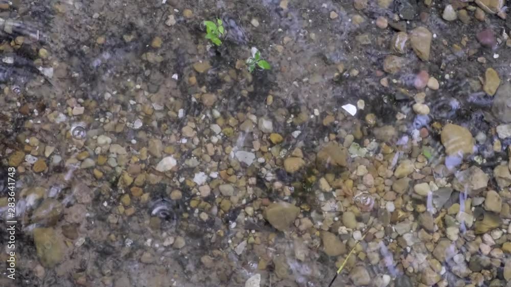 rain drops falling on puddle rain drops falling on puddle