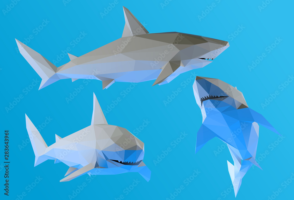Plaster Shark. Set of White Great White Sharks on Blue Background. Low Poly Vector 3D Rendering