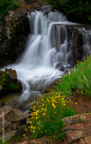 Falls And Flowers