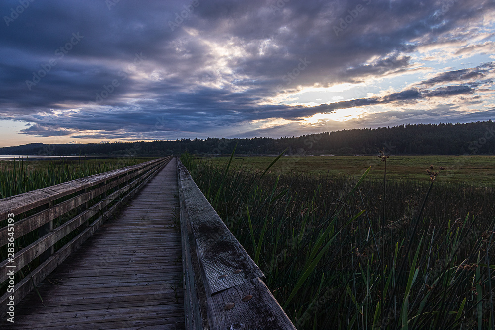 long wooden boardwalk streching far across a lush green wetlands below a cloudy sunset long wooden boardwalk streching far across a lush green wetlands below a cloudy sunset