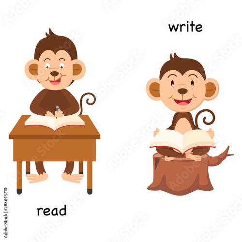Opposite read and write vector illustration