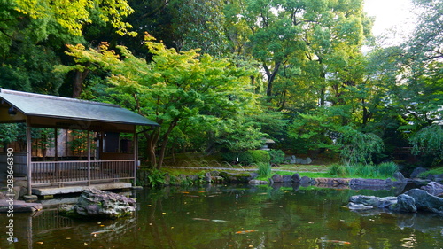 Photography Yasukuni Jinja inner garden. Pond in the Japanese garden