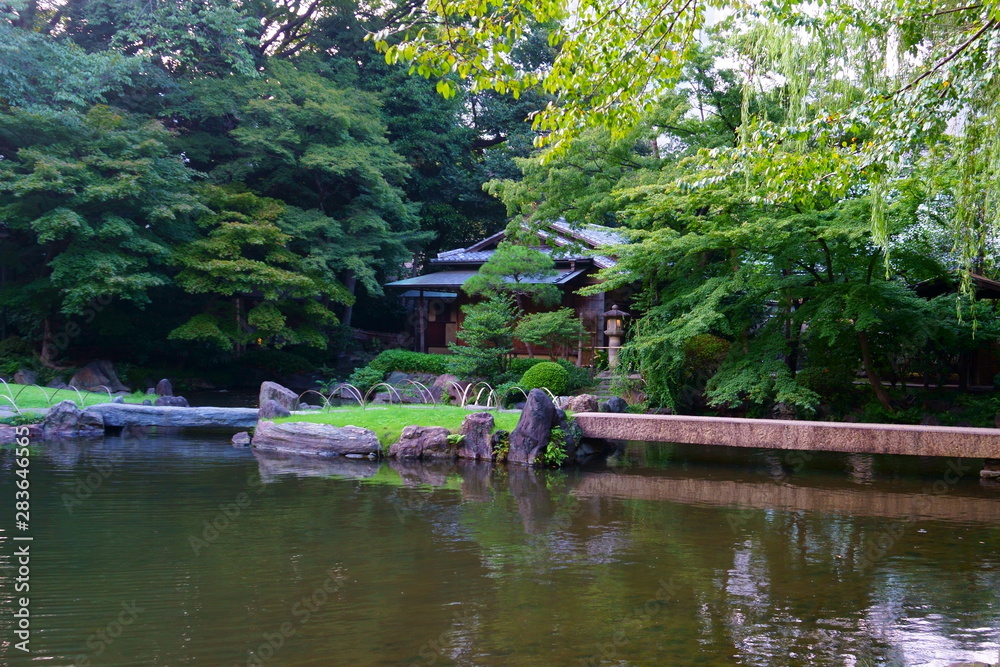 Pond in the Japanese garden. Relax in the center of Tokyo