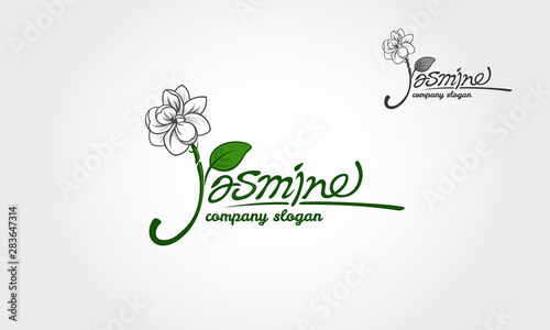 Jasmine is a luxury script font with a touch of elegant handwriting, looks very classy, and modern. Made for those who need illustrative, trustworthy, memorable, editable, simple and versatile logo.