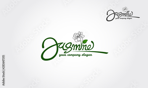 Jasmine is a simple font for beautiful logo design. A luxury script font with a touch of elegant handwriting, looks very classy, and modern.