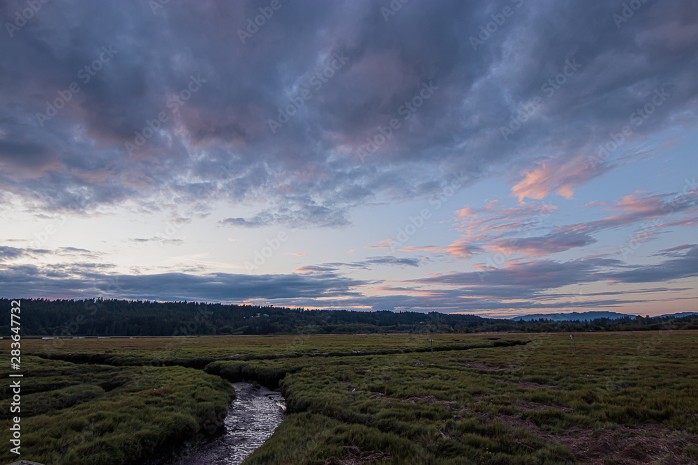 bright vibrant cloudy sunset over a thick dark green wetland full of reeds and streams of water