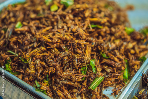 Fried insects, in the walking street market, Phuket Thailand