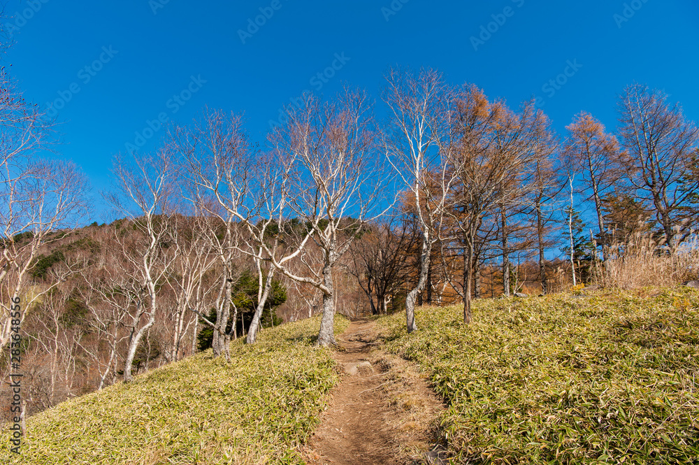 Hiking in the beautiful Mount Nantai and Lake Chuzenji in autumn season, Nikko, Japan Hiking in the beautiful Mount Nantai and Lake Chuzenji in autumn season, Nikko, Japan