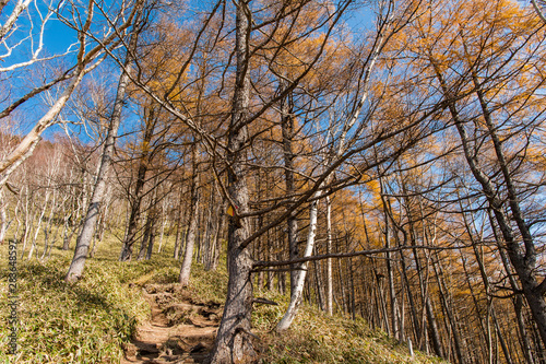 Hiking in the beautiful Mount Nantai and Lake Chuzenji in autumn season, Nikko, Japan
