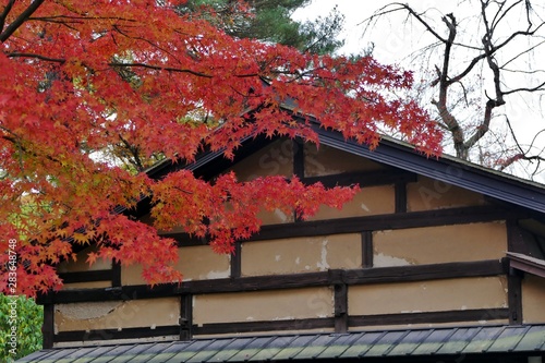 《角館の紅葉》秋田県仙北市