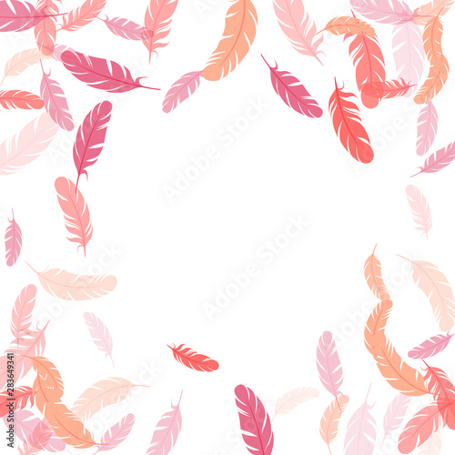 Falling feather elements soft vector design.