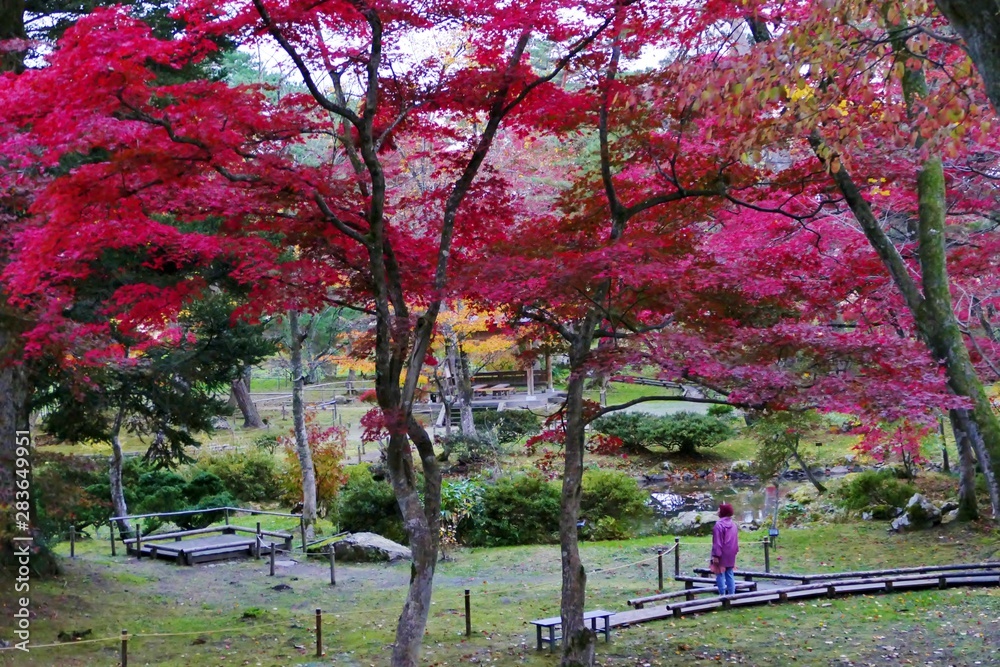 《旧池田氏庭園 払田分家の紅葉》秋田県大仙市