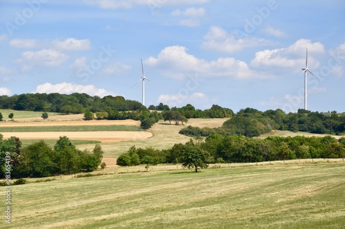 Landscape with windmill 