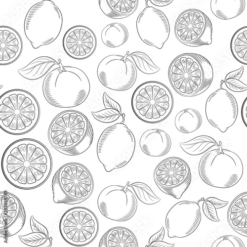 Black and white citrus seamless pattern © Maria
