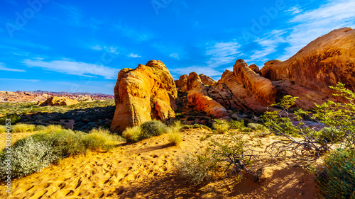 Colorful Sandstone Mountains at Sunrise on the Rainbow Vista Trail in the Valley of Fire State Park in Nevada, USA