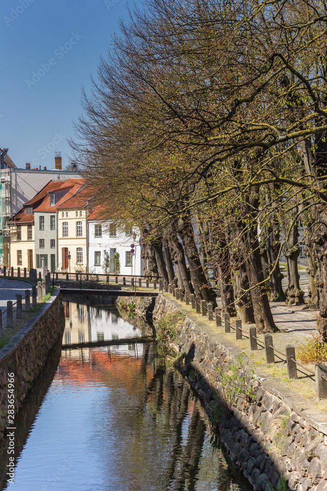 Trees along the canal in Wismar, Germany