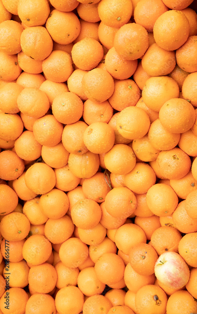 Collection of navel oranges with water condensation Collection of navel oranges with water condensation
