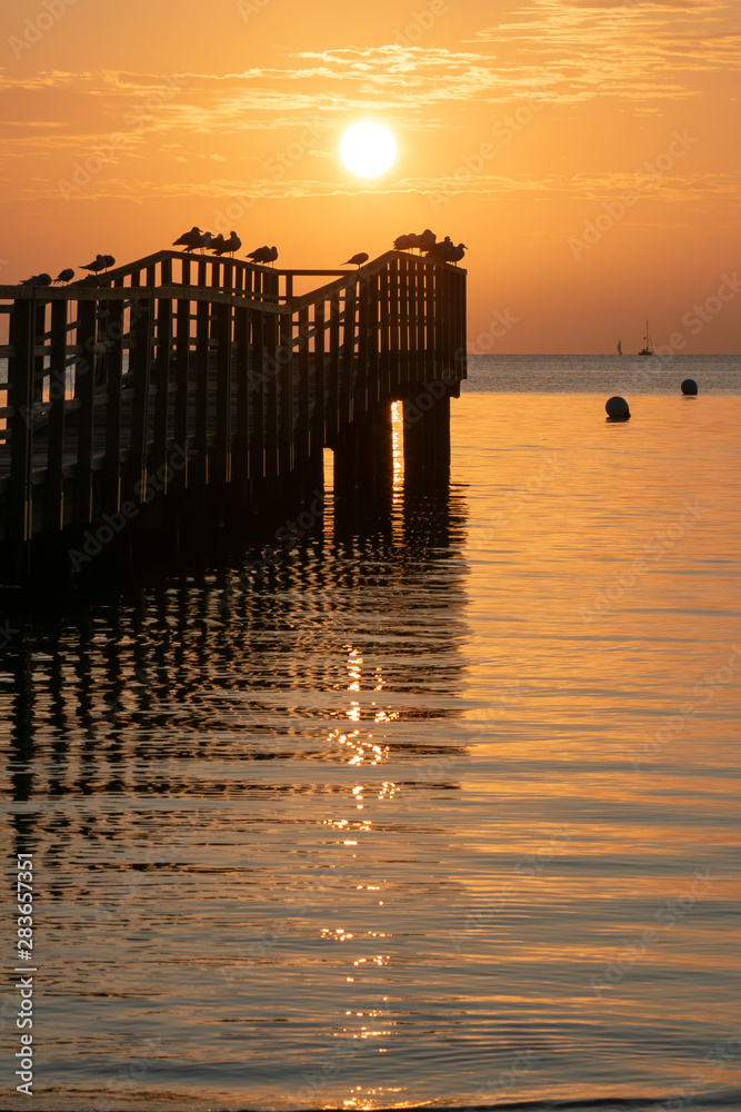 tranquil seaside view with romantic sea bridge