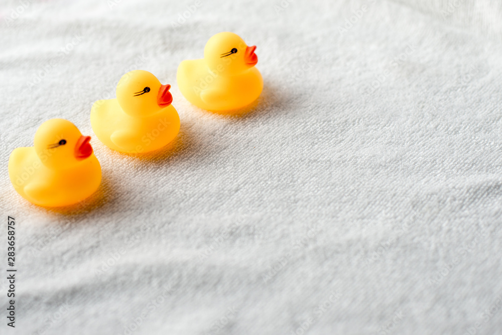 bath baby ducks on white towel with copy space bath baby ducks on white towel with copy space