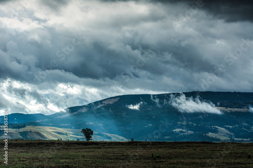 Foto Sunlight Breaks Through Storm to Backlight Tree