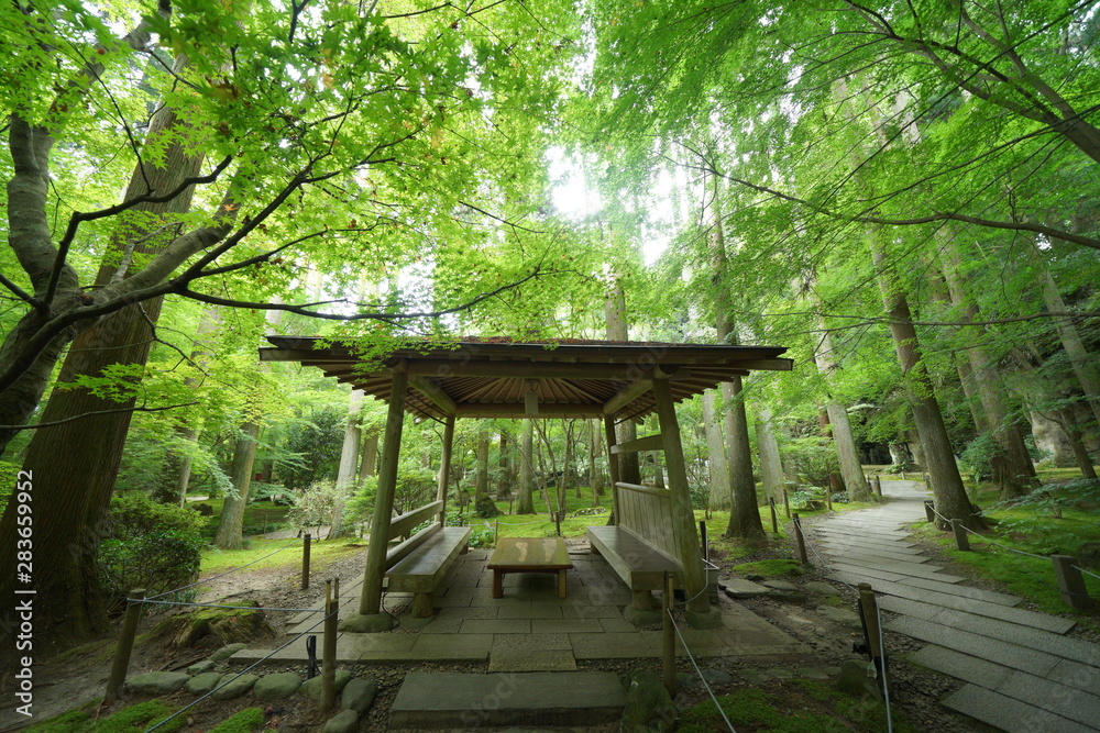 Naklejka premium 円通院のお庭