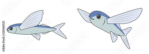 トビウオ