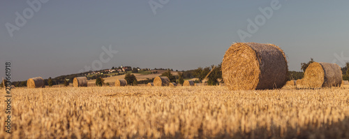 Straw bales on a stubble field, in the background a village with a church on a hill, blue sky, landscape in golden sunlight