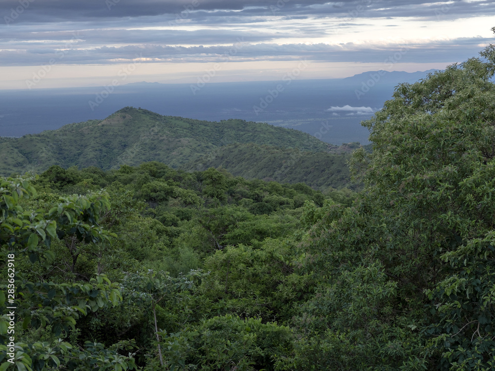 Wooded landscape in Mago National Park of Southern Ethiopia