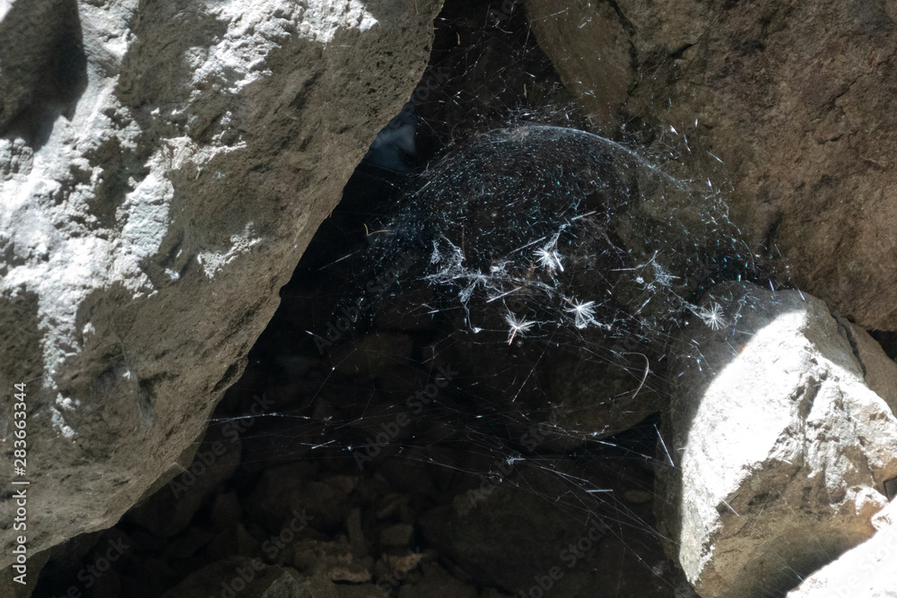 web in rocks