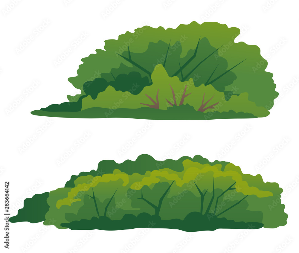 Set of two green bushes, thick green shrub with branches, elements of undergrowth vegetation - obrazy, fototapety, plakaty 