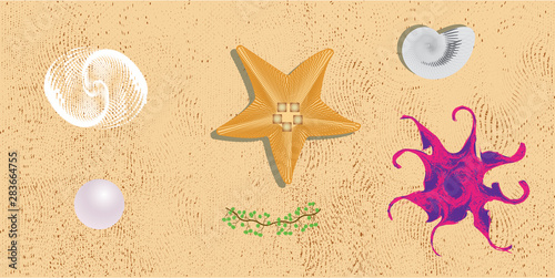 Sea life. Design elements io the sand