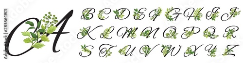 Collection romantic black letters with drawn watercolor leaves. Elegant alphabet for book design, brand name, wedding invitation thanks card