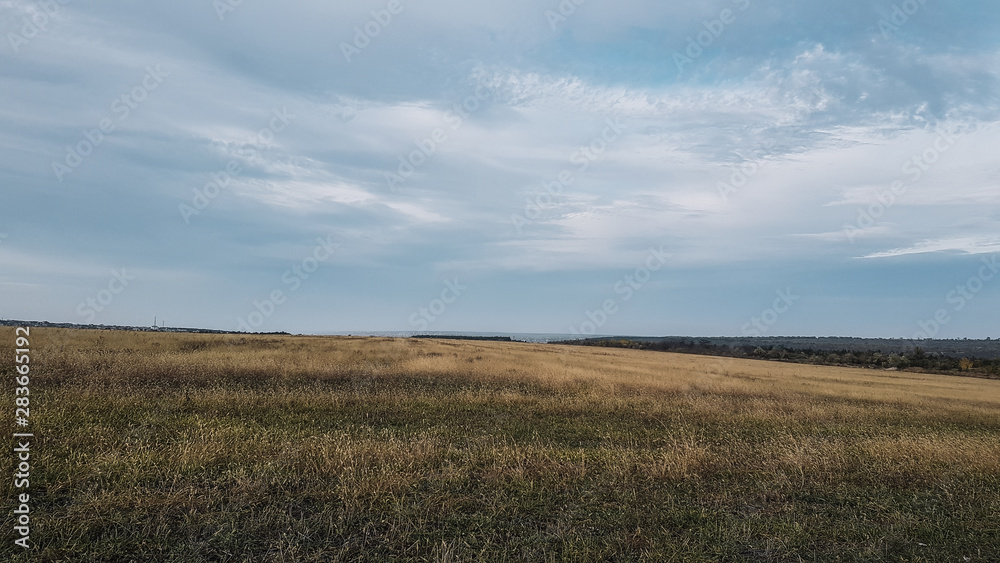 A beautiful landscape of a wheat field in the countryside