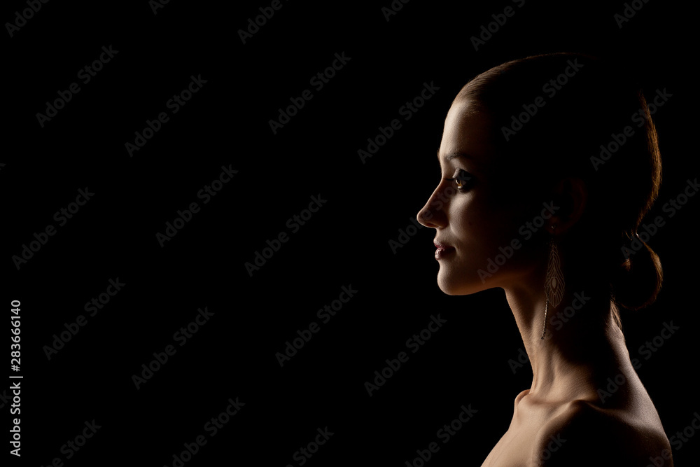 beautiful female silhouette