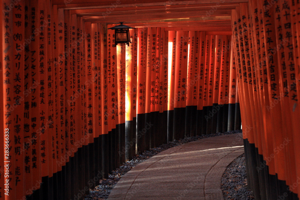 Fototapeta premium Fushimi Inari taisha thousand shrines in Kyoto Japan