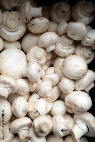 background of fresh whole mushrooms, food closeup