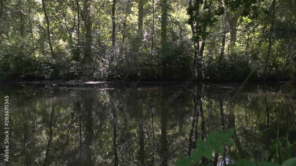 beautiful lake view slow motion beautiful lake view slow motion