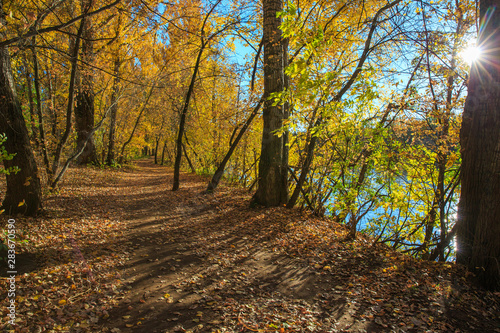 Beautiful autumn forest. Path along the river in park. Sunny autumn day.