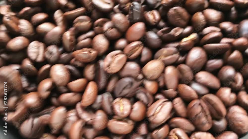 Coffee beans swaying. Coffee beans swaying.