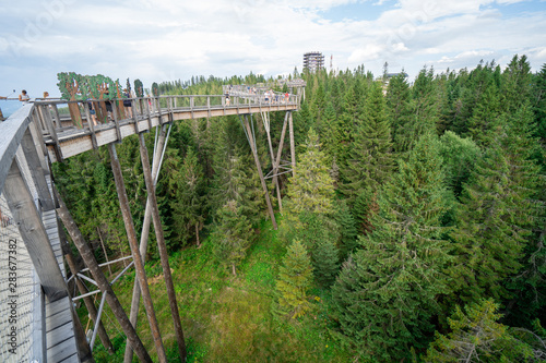 Tree-top footbridge. Bachledka. Slovakia